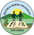 ESCUELA NUEVA COLLILELFU