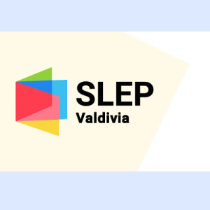 https://slepvaldivia.gob.cl/